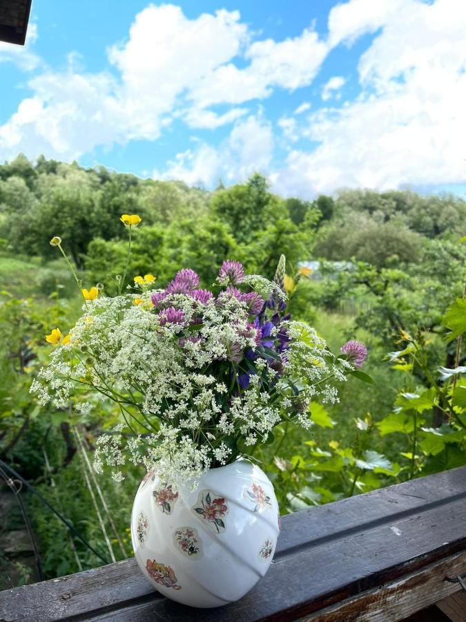 Livada Lui Papu Villa Izvoarele  Buitenkant foto