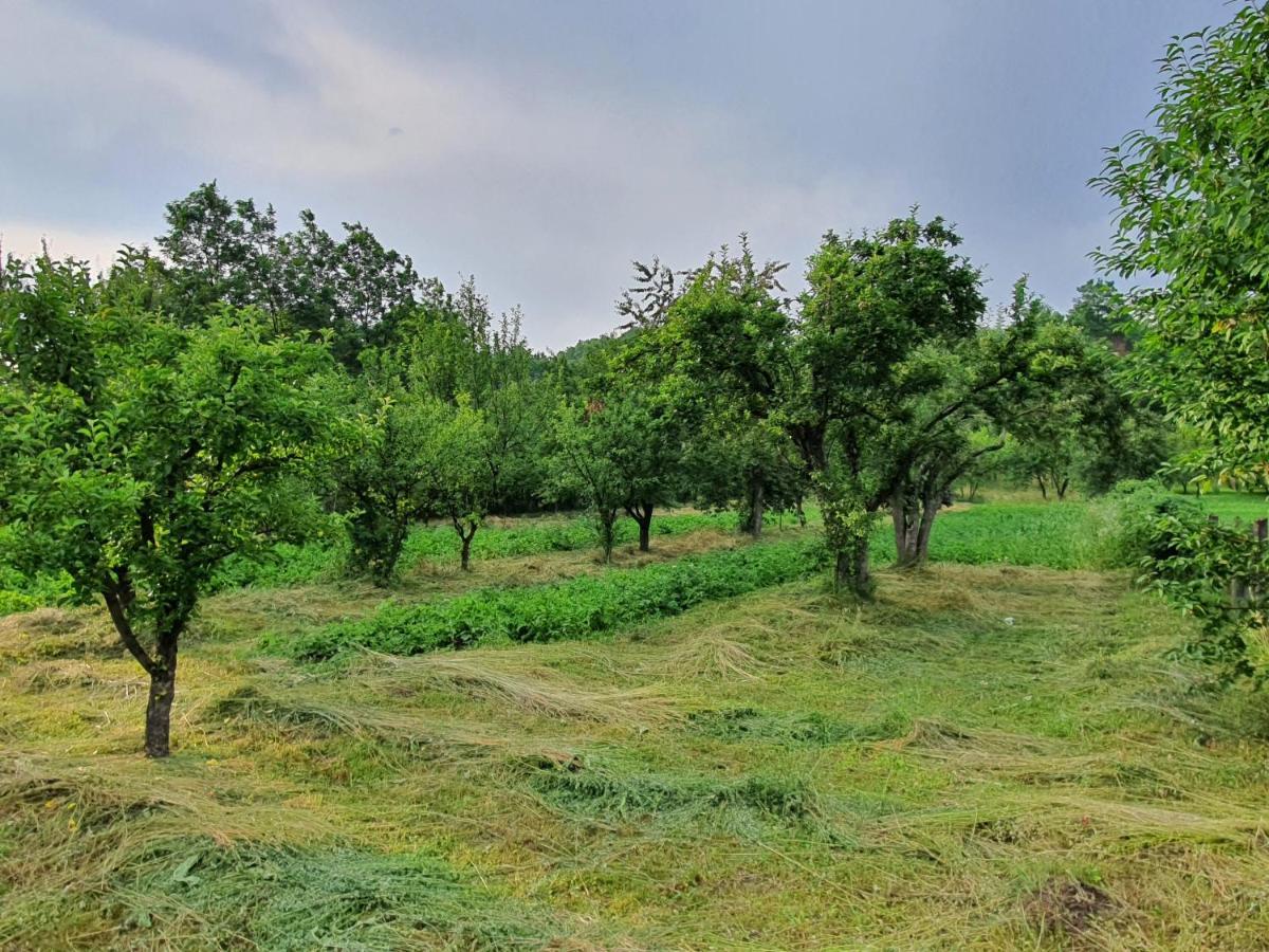 Livada Lui Papu Villa Izvoarele  Buitenkant foto