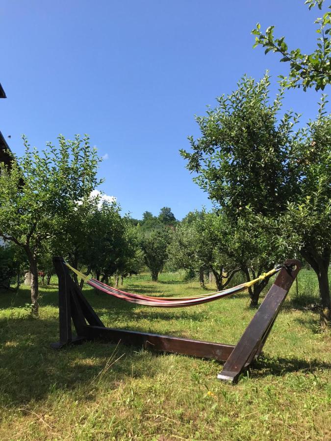 Livada Lui Papu Villa Izvoarele  Buitenkant foto